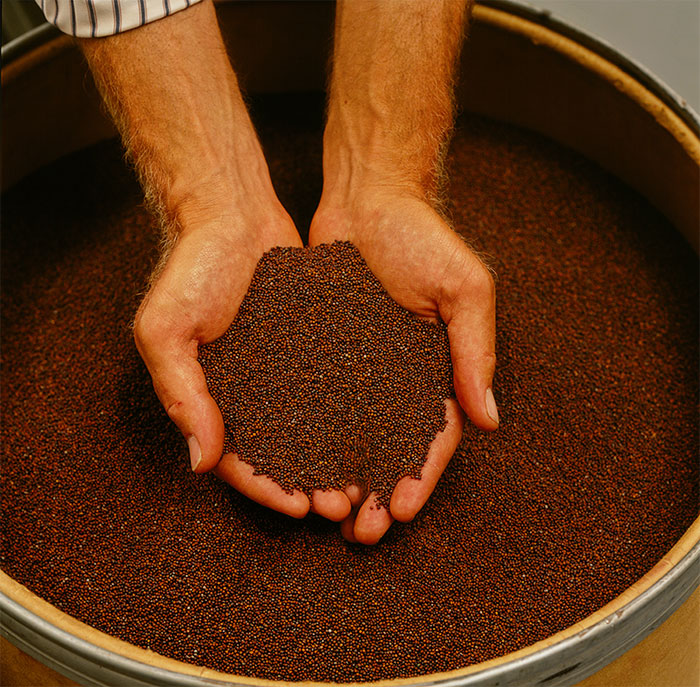 seeds